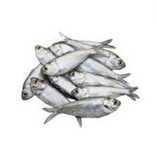 Chapila | 250g