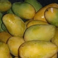 Deshi Am | Mango | Box