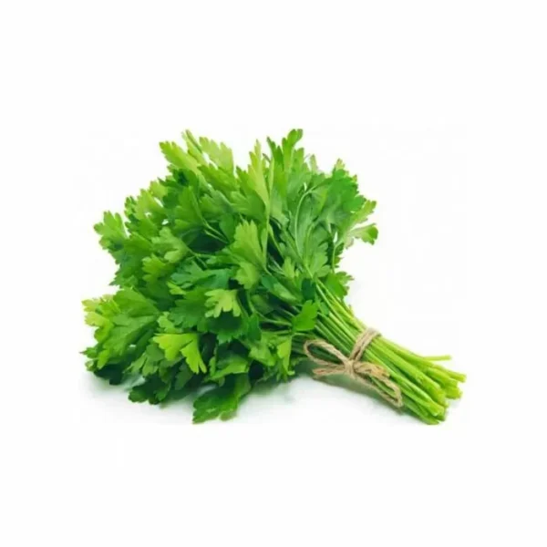Dhoniapata | Coriander Bunch