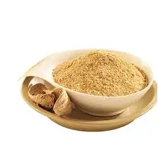 Amchoor Powder | 100g