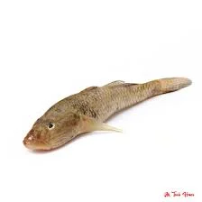 Baila Fish Small Size | 250g