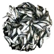 Mix Pona Fish  | 250 g