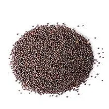 Mustard Seed | Black