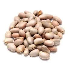 Dry Katal Bisi | Jackfruit Seed | 250g
