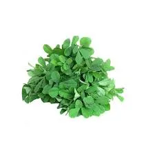 Fresh Methi Shak | Fenugreek Leaf | Bunch
