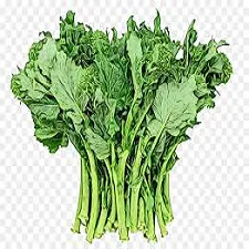 Fresh Mustard Leaf | Shorisha Pata | Bunch