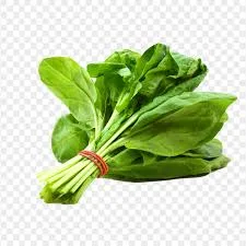 Fresh Spinach | Bunch