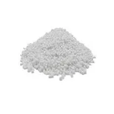Sago Seeds